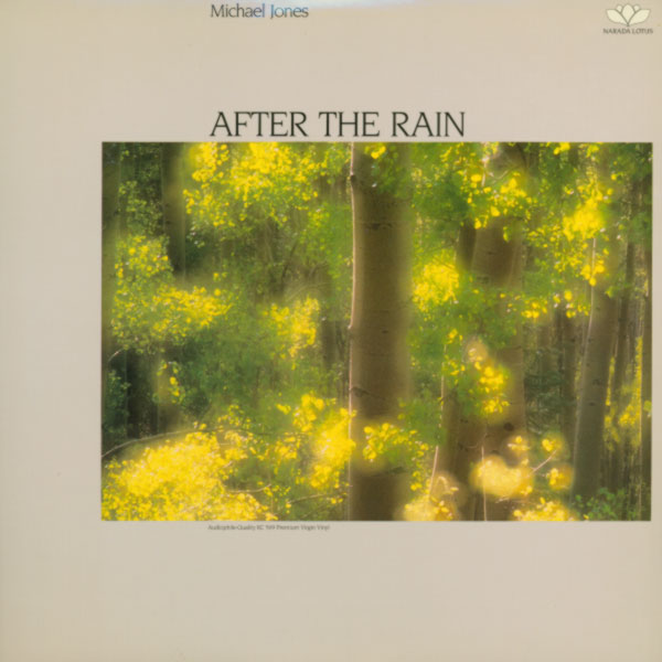 Michael Jones After The Rain Promo LP